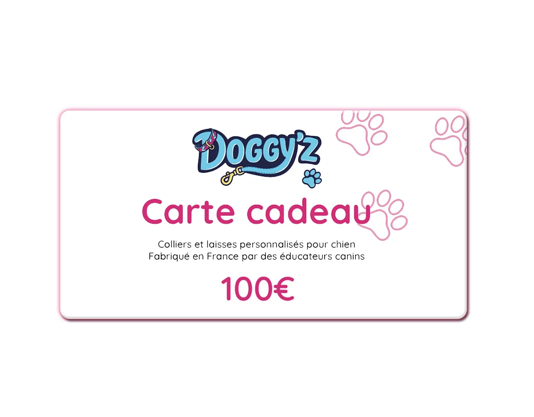 carte_cadeau-100-euros