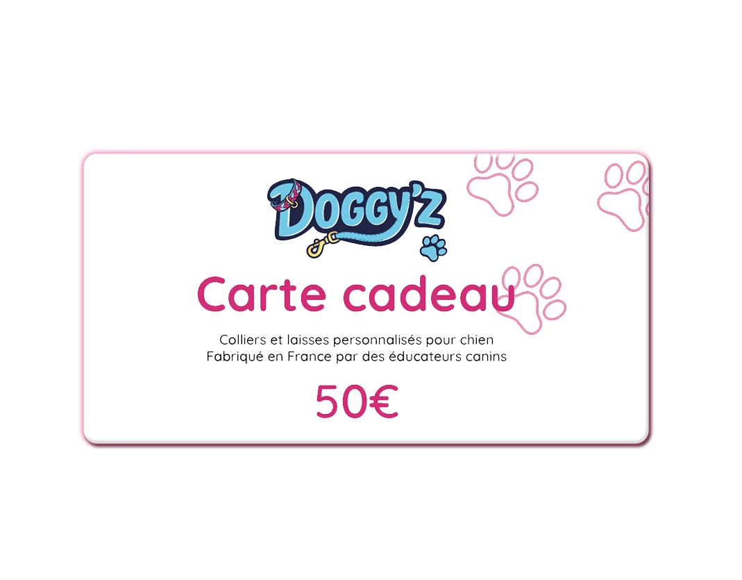 carte_cadeau-50-euros