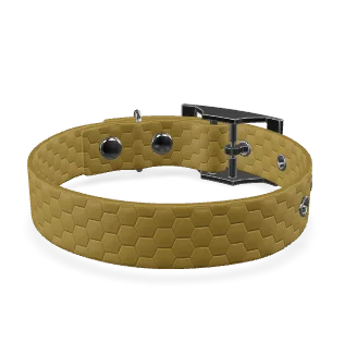 Collier chien petit & moyen